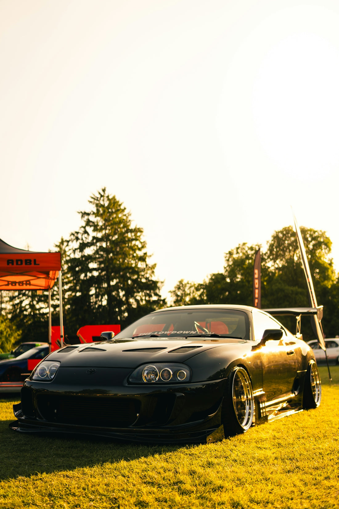Modified black sports car parked on grass