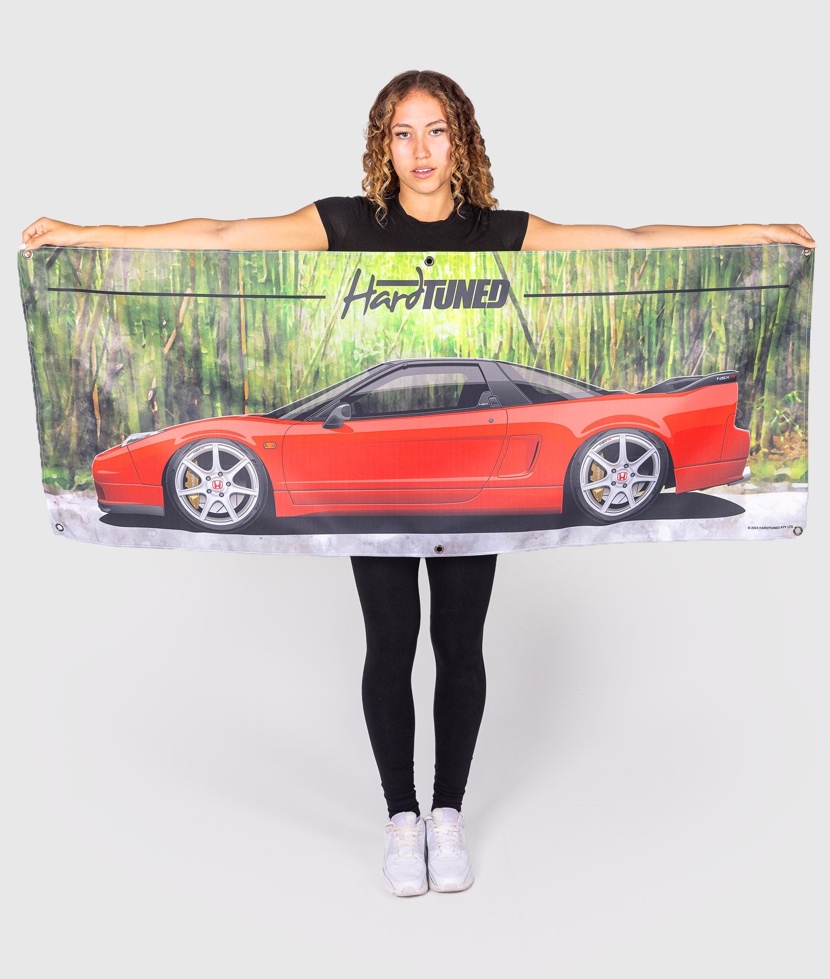 Honda NSX Bundle
