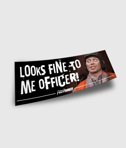 Looks Fine to Me Officer!