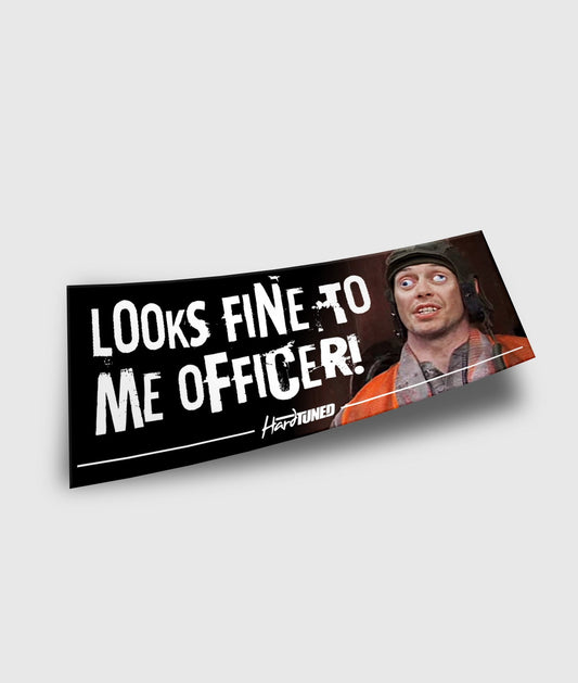 Looks Fine to Me Officer!