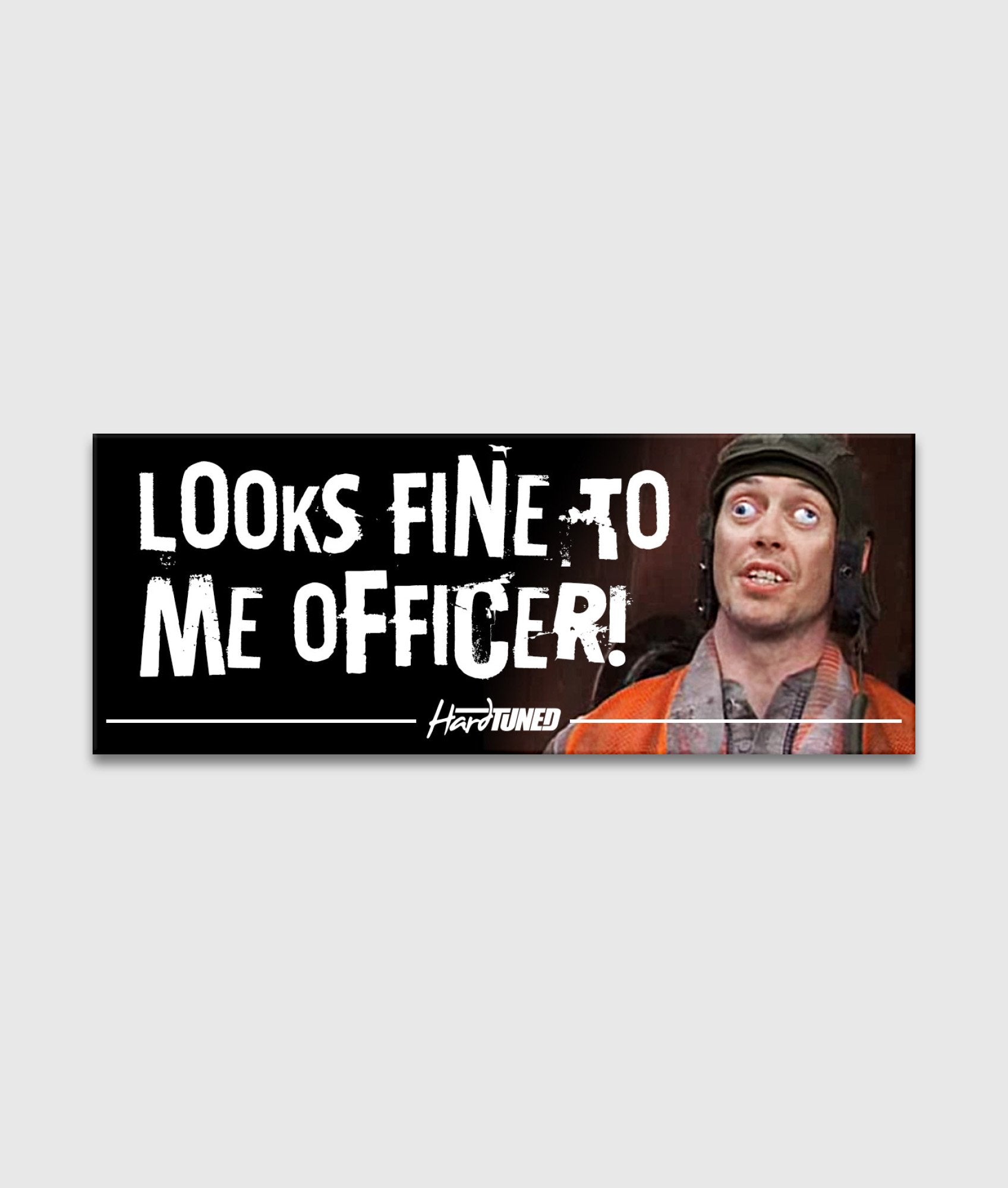 Looks Fine to Me Officer!